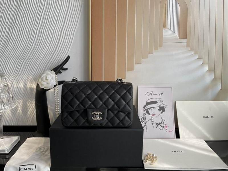 Chanel Handbags 473